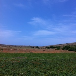 A Maltese Farm